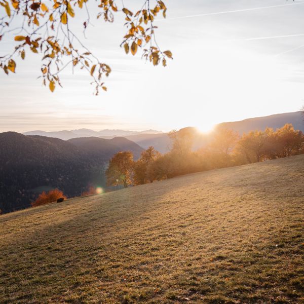 -tm-tourismuslajen-high-02782