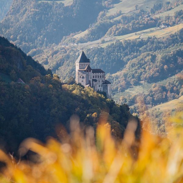 -tm-tourismuslajen-high-00426