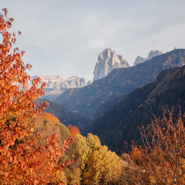 -tm-tourismuslajen-high-02522