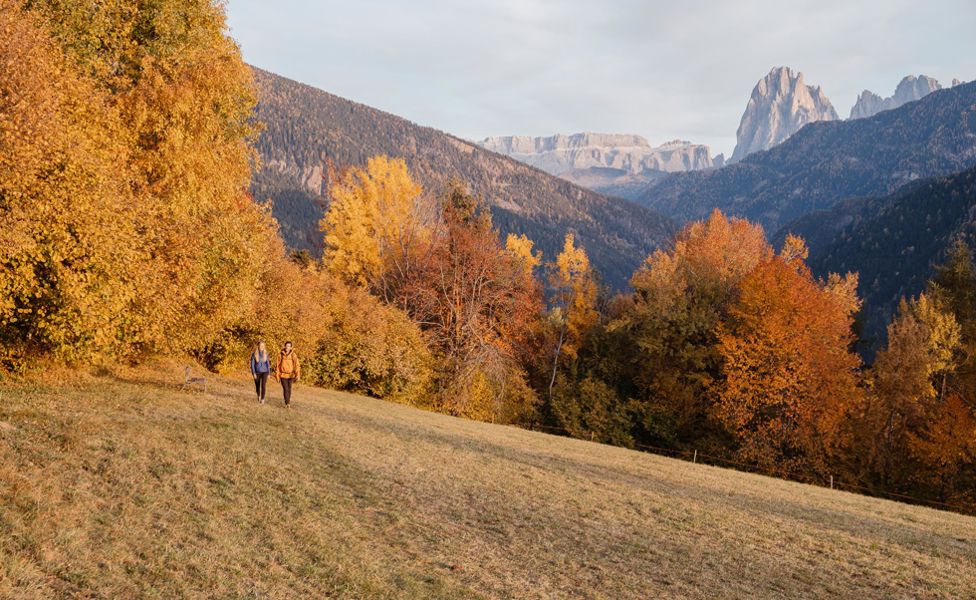 -tm-tourismuslajen-high-02622