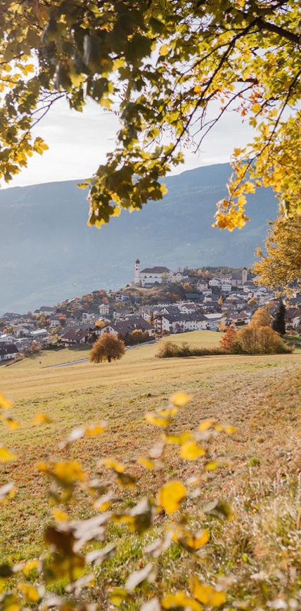 -tm-tourismuslajen-high-02109